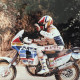 Taddy Honda 1988-3